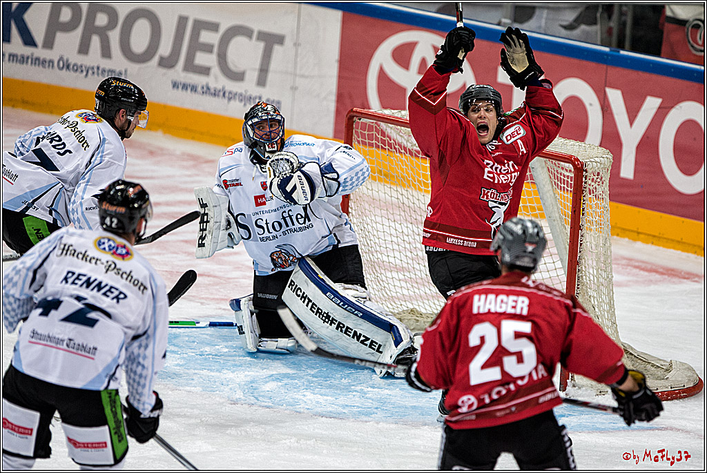 Koelner Haie - Straubing Tigers, 03.10.2016
